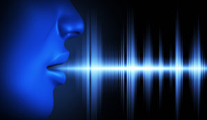 rozpoznanie hlasu